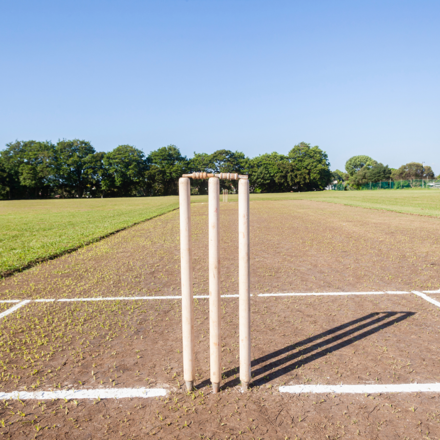 Presidents Day Cricket Matches & BBQ